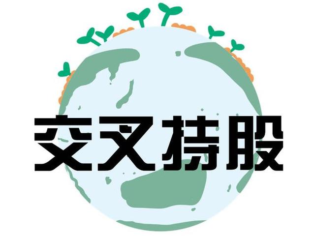 交叉持股安排设计(交叉持股怎么计算持股比例)儋州市