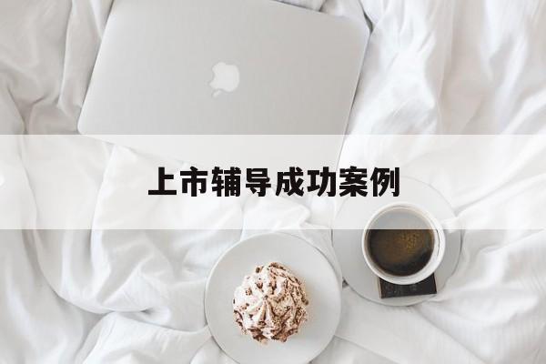 上市辅导成功案例(上市辅导成功后肯定会上市吗)儋州市